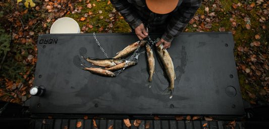 Tailgate Insert - (2019-2025) GMC/ Chevrolet Sierra/Silverado