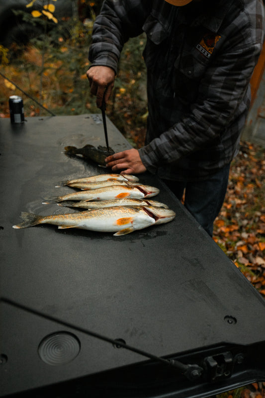 Tailgate Insert - (2019-2025) GMC/ Chevrolet Sierra/Silverado