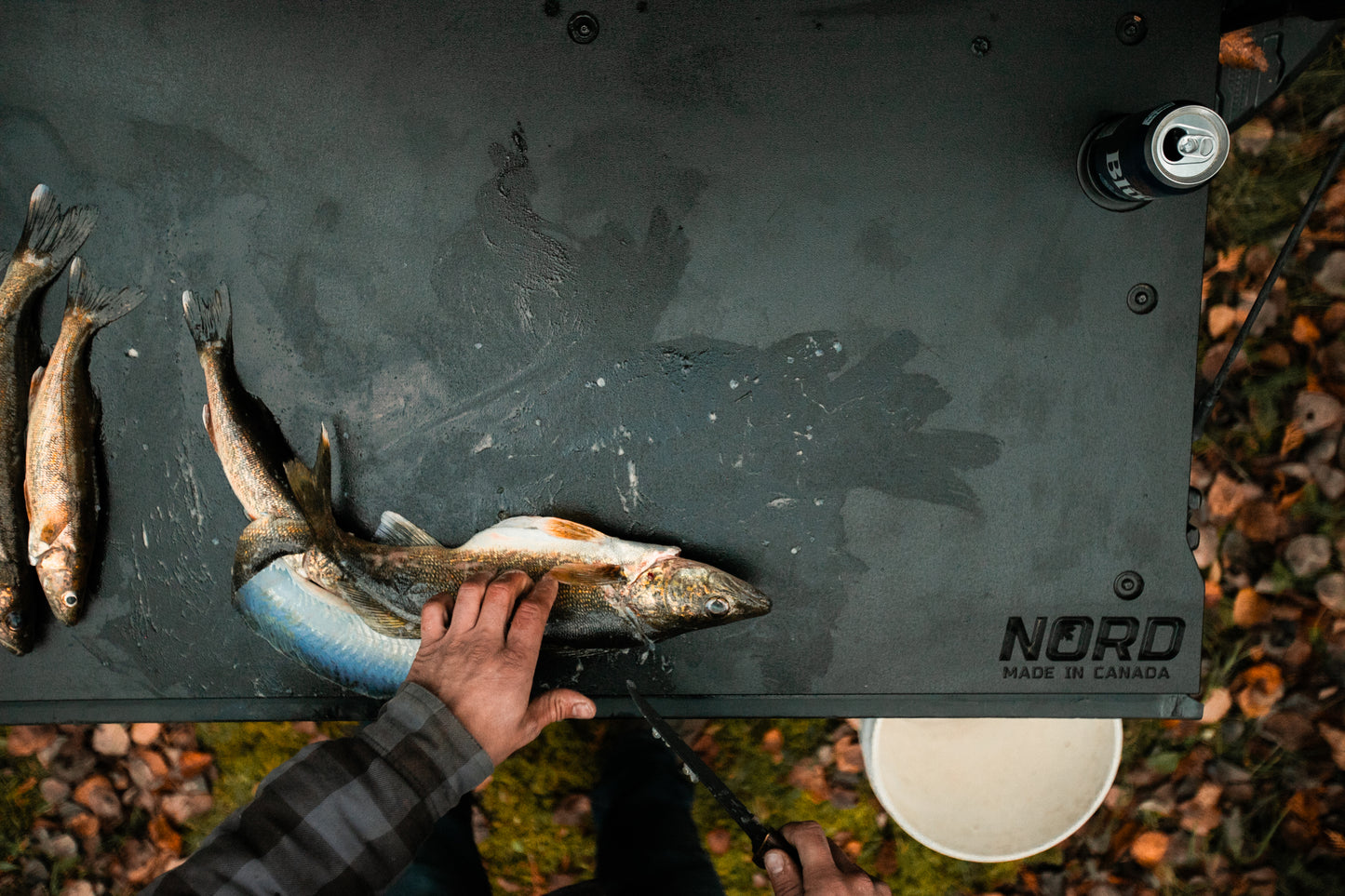 Tailgate Insert - (2019-2025) GMC/ Chevrolet Sierra/Silverado