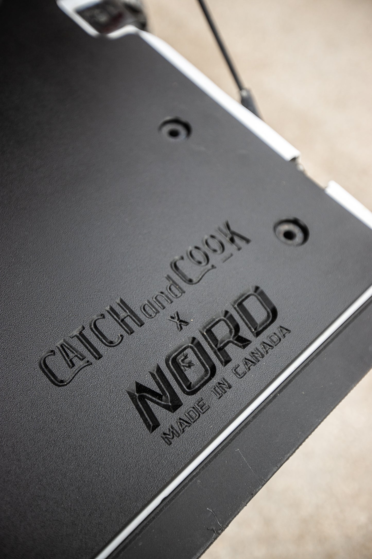 Tailgate insert (2021-2025) Ford F150